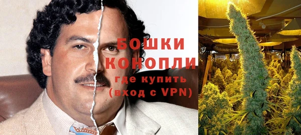 дурь Волосово