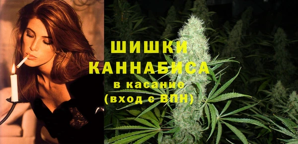 молекула духа Волоколамск
