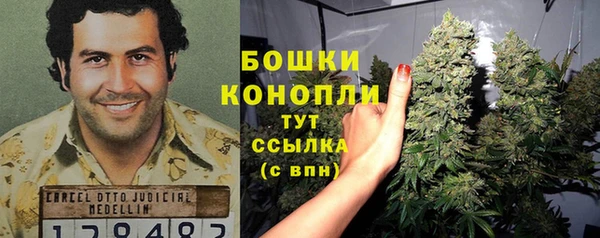 дурь Волосово